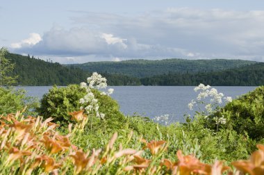 doğal lakeview