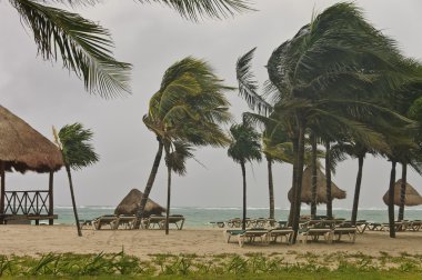 Windstorm over the sandy beach clipart