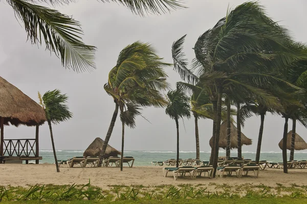 暴风在沙滩 — 图库照片