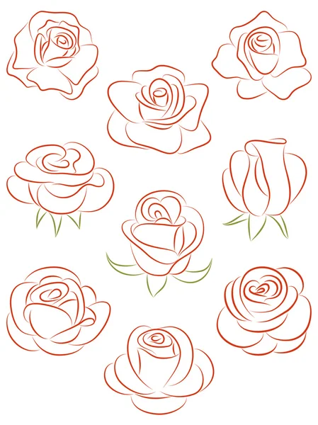 Набор роз. Векторная иллюстрация . — стоковый вектор