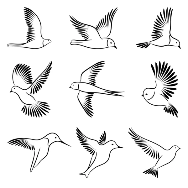 Satu Set Sketsa Burung Burung Ilustrasi Vektor - Stok Vektor
