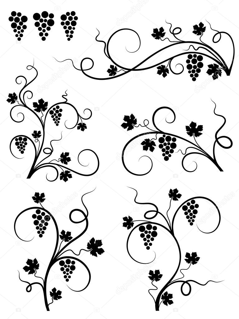 The grape design element set. Vector illustration.