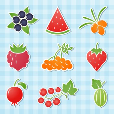 Berry icons. Vector illustration. clipart