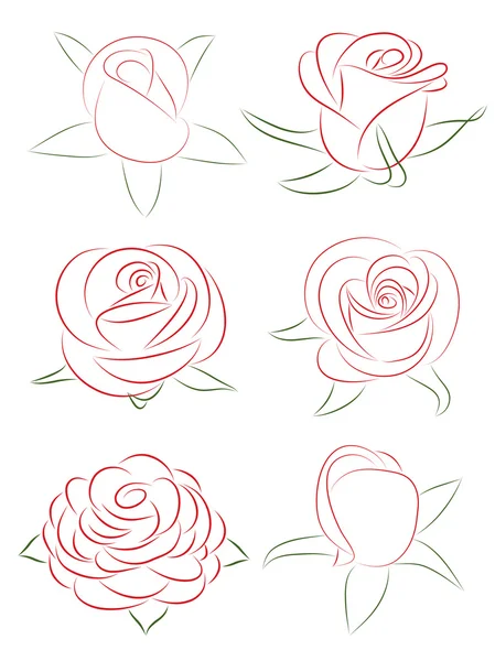 Набір троянд. Векторні ілюстрації . — стоковий вектор