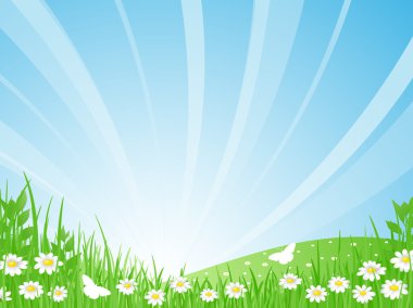 Summer landscape. Vector illustration. clipart