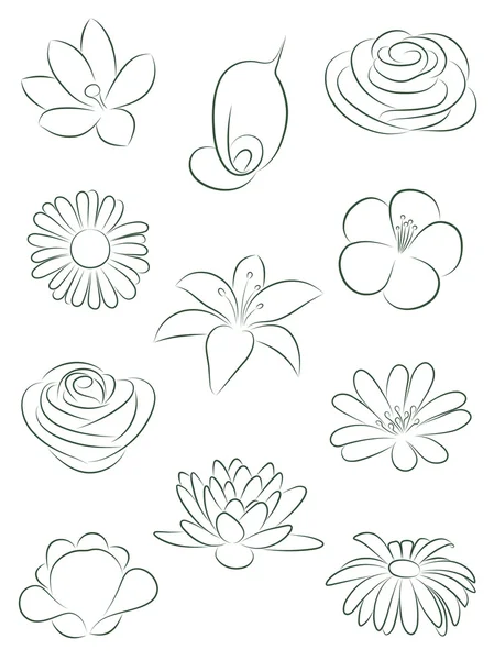 Conjunto de flores. ilustración vectorial. — Archivo Imágenes Vectoriales