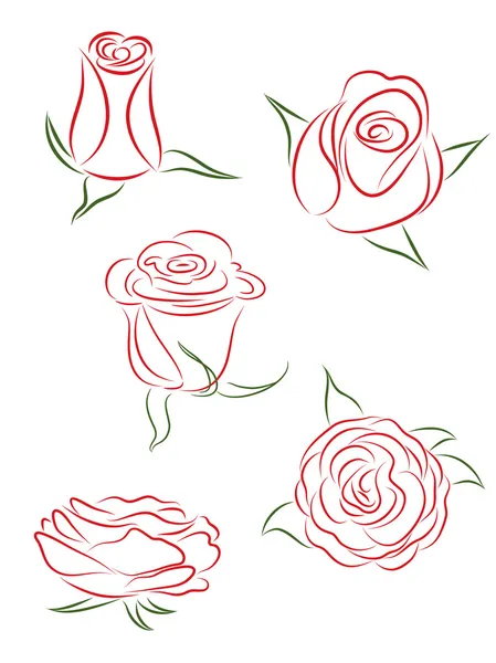 Conjunto de rosas. Ilustração vetorial . — Vetor de Stock