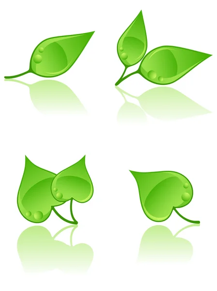 Conjunto de hojas. Ilustración vectorial . — Archivo Imágenes Vectoriales