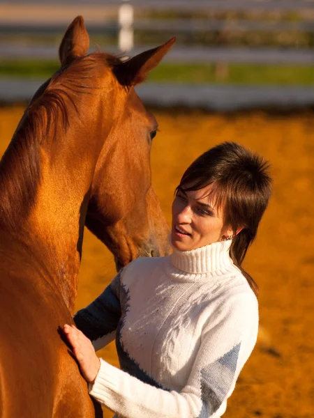 Cavallo rosso e il suo cavaliere — Foto Stock