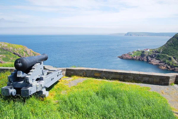 Cannons in St. John's — Stock Photo, Image