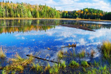 Algonquin Park