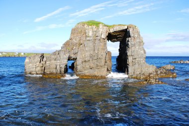 küçük catalina newfoundland '