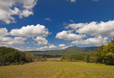 Great Smokey Mountains National Park clipart