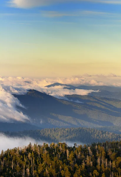 Great Smokey Mountains — Stock Photo, Image