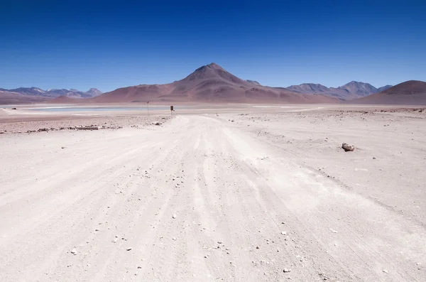 Боливийская пустыня — стоковое фото