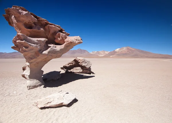 Árbol de roca del desierto — Foto de Stock