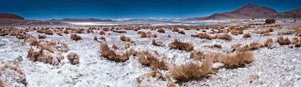 Panorámica del desierto — Foto de Stock