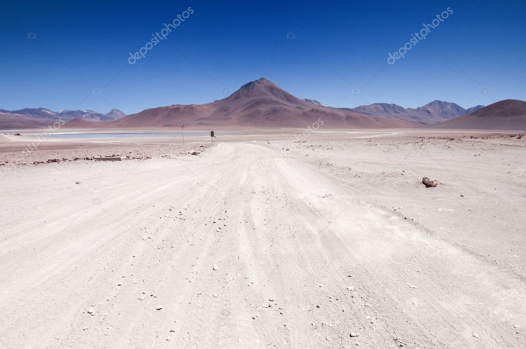 Bolivian Desert