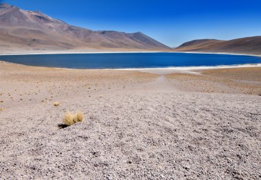 Laguna Miscanti