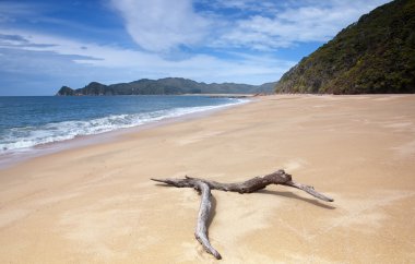 Abel Tasmin National Park clipart