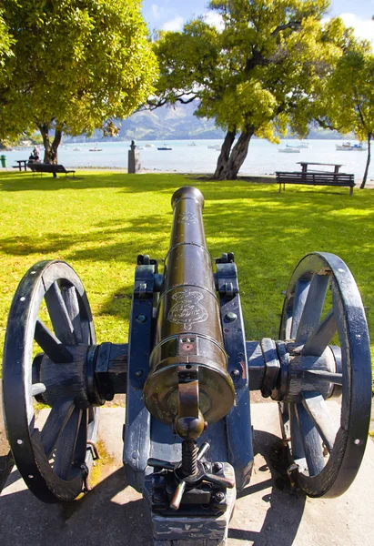 Cannone di Akaroa — Foto Stock