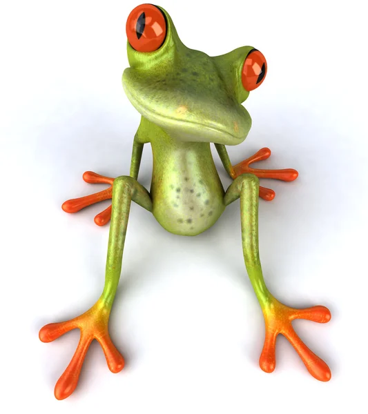 Fun frog — Stock Photo, Image