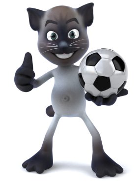 eğlenceli bir kedi