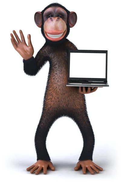 Fun monkey — Stock Photo, Image