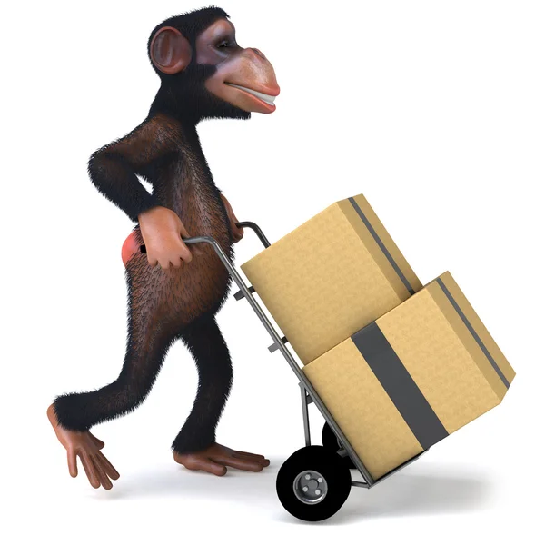 Cool monkey — Stock Photo, Image