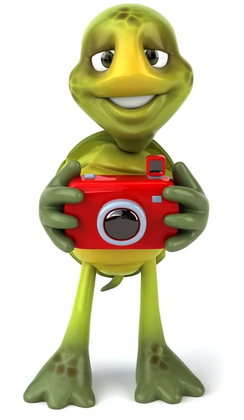 龟与相机拍照 — 图库照片