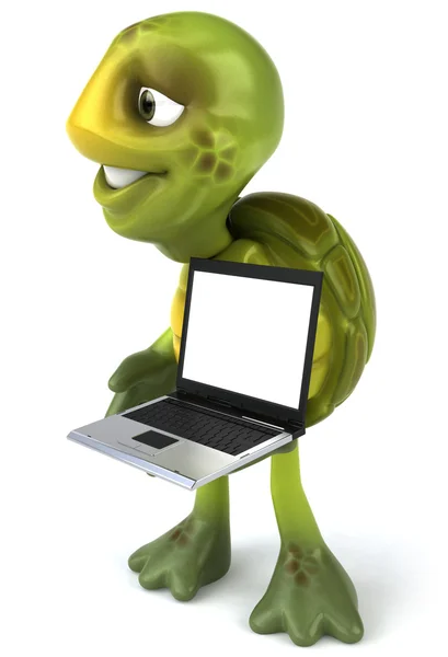 Sköldpadda med en laptop 3d illustration — Stockfoto