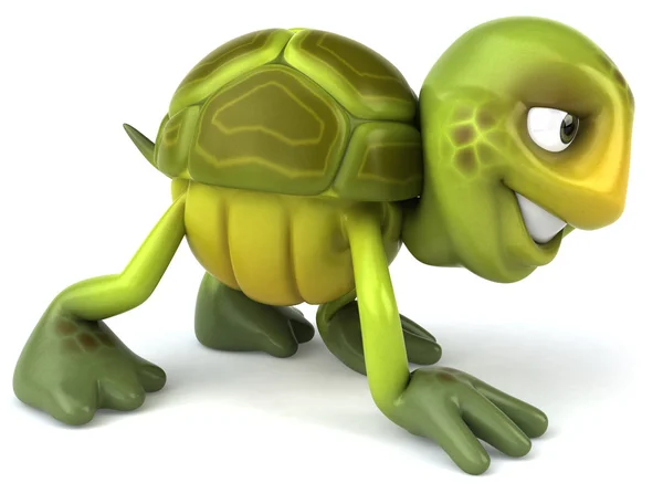 Turtle 3d illustration — Stock Photo, Image