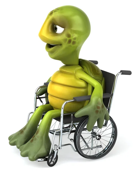 Turtle op de rolstoel 3d illustratie — Stockfoto