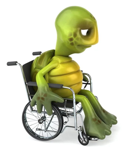 Turtle on the wheelchair 3d illustration — Stock Photo, Image