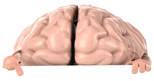 3d απεικόνιση εγκεφάλου — Φωτογραφία Αρχείου