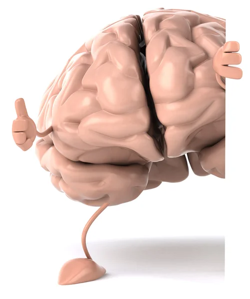 Brain Illustration — Stock Photo, Image