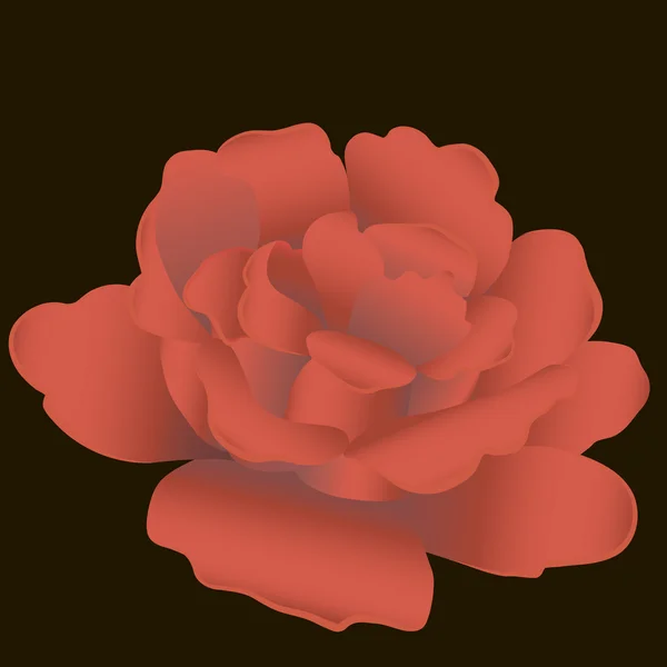 Gyönyörű rózsa — Stock Vector