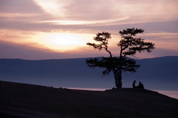 stock image Landscape with couples