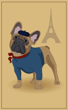 French Bulldog clipart