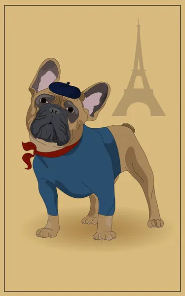 Französische Bulldogge — Stockvektor