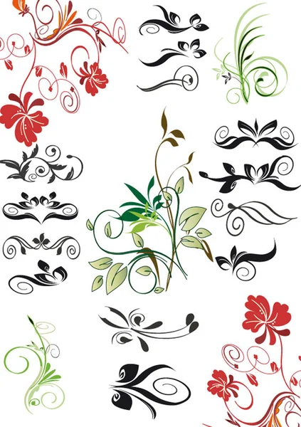 Vector Spring Branch Nature Diverse Colorful Flowers Elements — Stock Vector