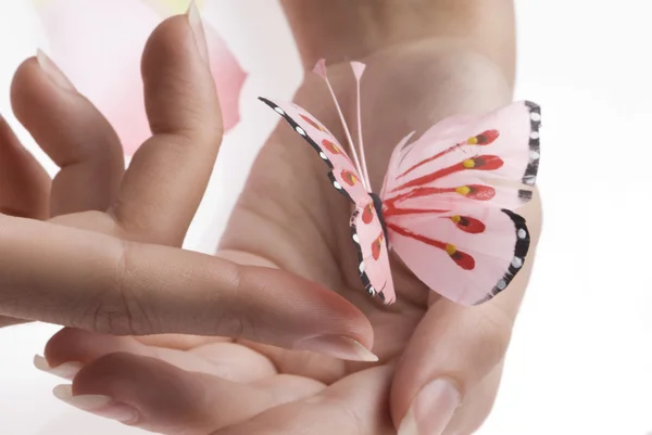 The pink butterfly — Stock Photo, Image