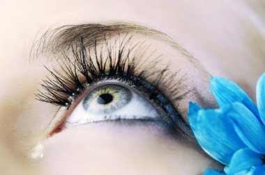 closeup of the eye of woman with creative eyelashes and blue petals clipart