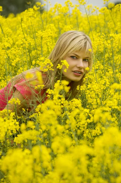 Entre flores amarelas — Fotografia de Stock