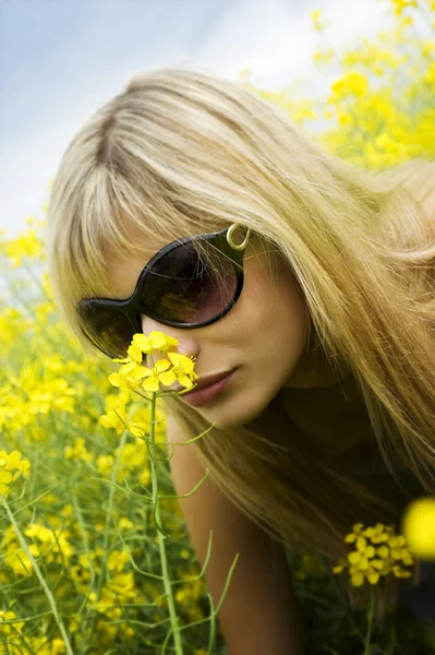 Flor olorosa — Foto de Stock