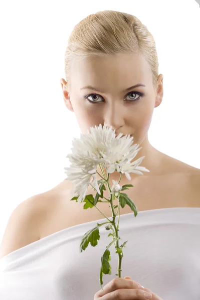 Weiße Frauenblume — Stockfoto