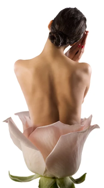 La flor del ballet — Foto de Stock