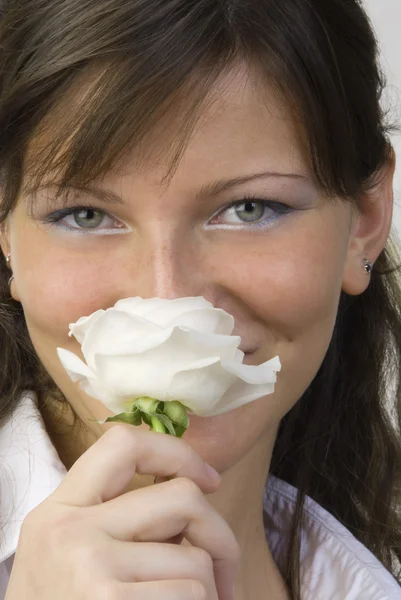 The rose — Stock Photo, Image