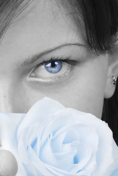 Rose in blue — Stock Photo, Image