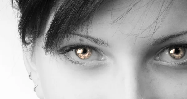 公正な目の黒と白のクローズ アップ — ストック写真